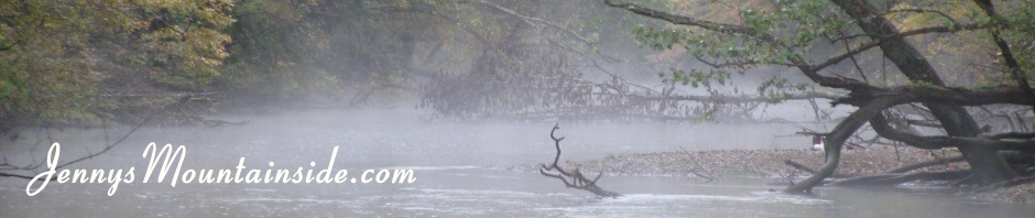 foggyriver_pic